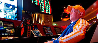 Вход на зеркало Lucky Duck Casino